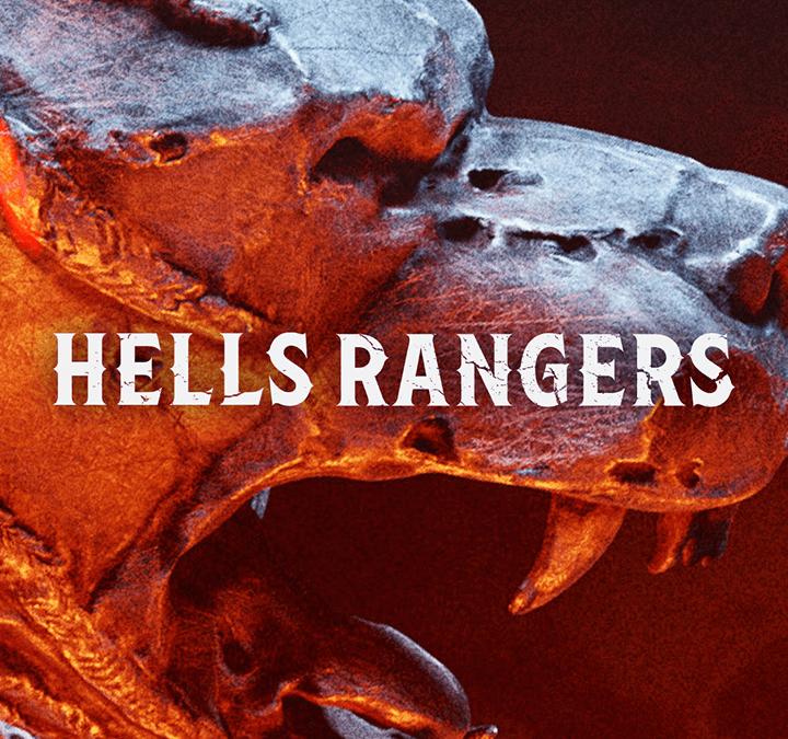 Outriders: Hell’s Rangers DLC